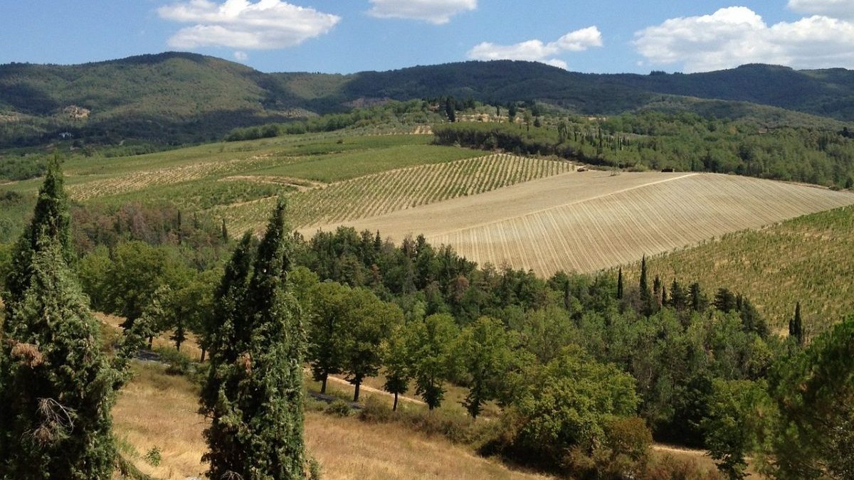 tuscany, field, landscape, countryside, italian, italy, europe, tuscan, agriculture, rural, farm, vineyard, scenic, idyllic, scenery, farmland, picturesque, winery, nature, land, peaceful, sky, clouds, hillside, country, meadow