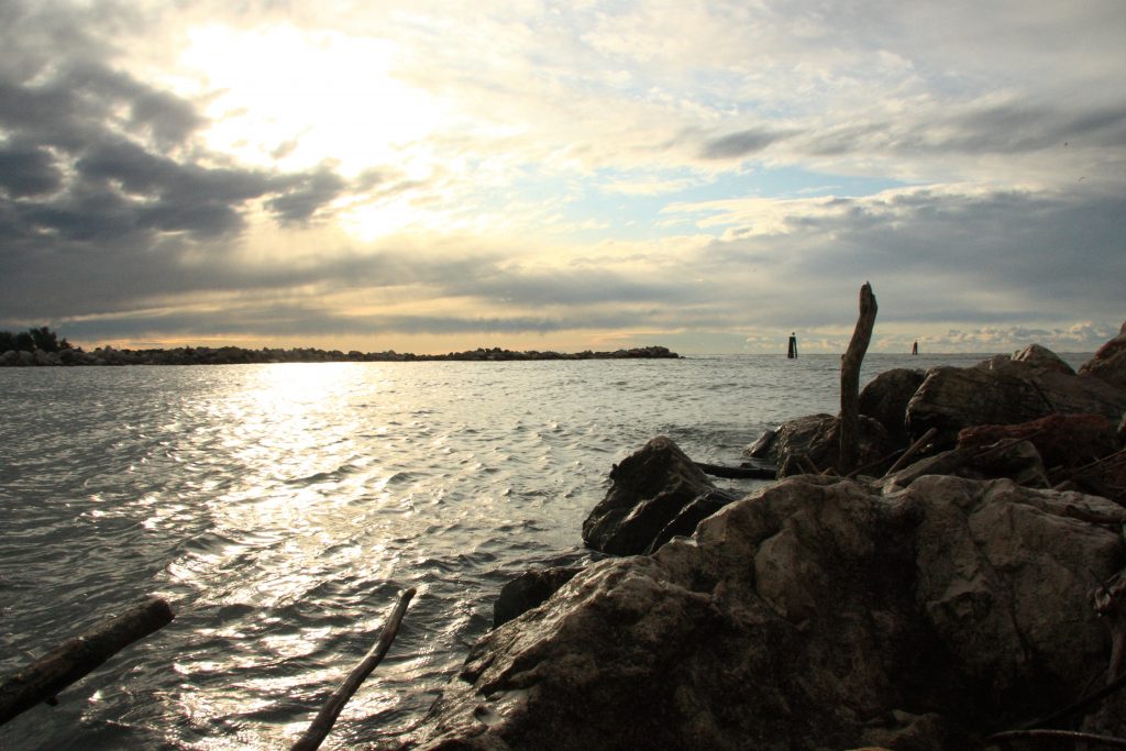 Paesaggio d’acqua nella Sacca degli Scardovari
