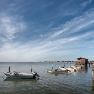 Sacca degli Scardovari a Porto Tolle nel Delta del Po