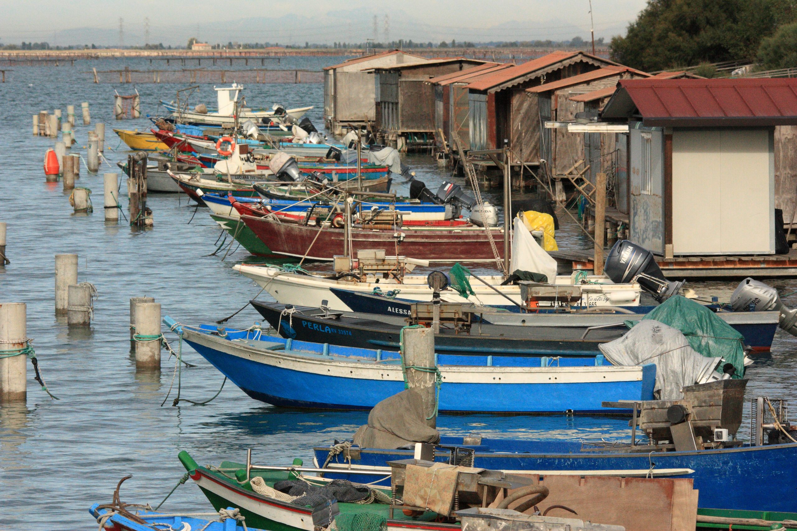 Cavàne dei pescatori nella Sacca degli Scardovari